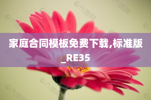 家庭合同模板免费下载,标准版_RE35