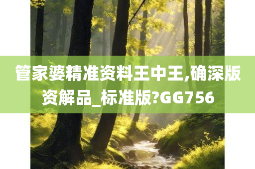 管家婆精准资料王中王,确深版资解品_标准版?GG756