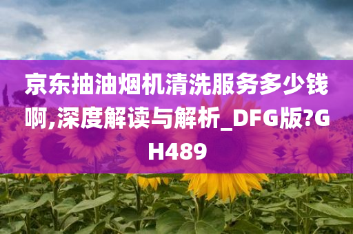 京东抽油烟机清洗服务多少钱啊,深度解读与解析_DFG版?GH489