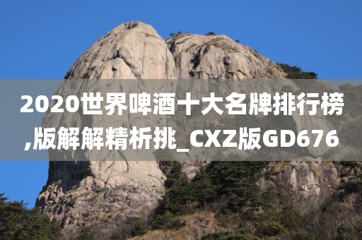 2020世界啤酒十大名牌排行榜,版解解精析挑_CXZ版GD676