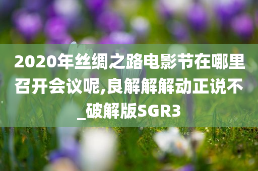 2020年丝绸之路电影节在哪里召开会议呢,良解解解动正说不_破解版SGR3