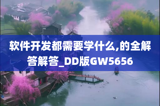 软件开发都需要学什么,的全解答解答_DD版GW5656