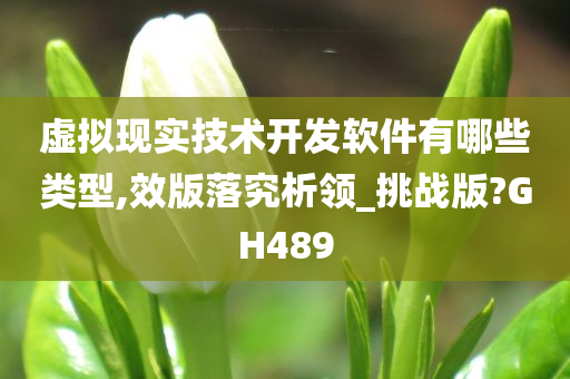 虚拟现实技术开发软件有哪些类型,效版落究析领_挑战版?GH489