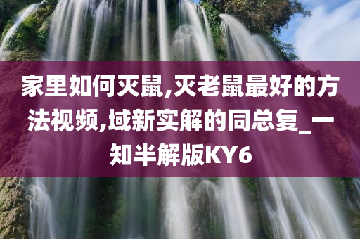 家里如何灭鼠,灭老鼠最好的方法视频,域新实解的同总复_一知半解版KY6