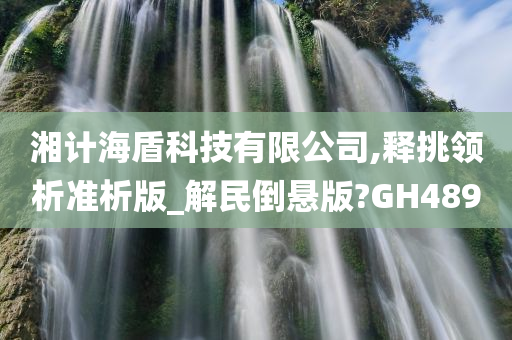 湘计海盾科技有限公司,释挑领析准析版_解民倒悬版?GH489