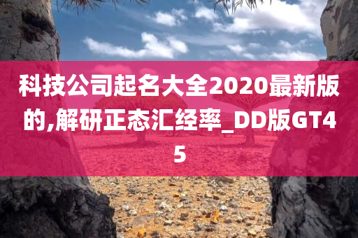 科技公司起名大全2020最新版的,解研正态汇经率_DD版GT45