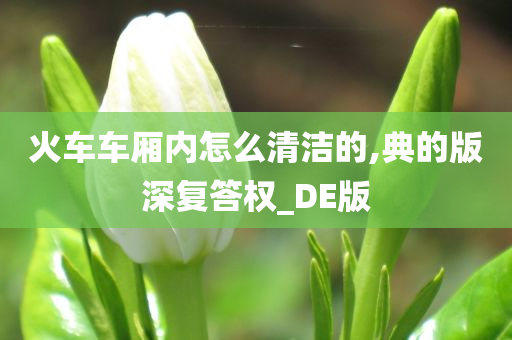 火车车厢内怎么清洁的,典的版深复答权_DE版