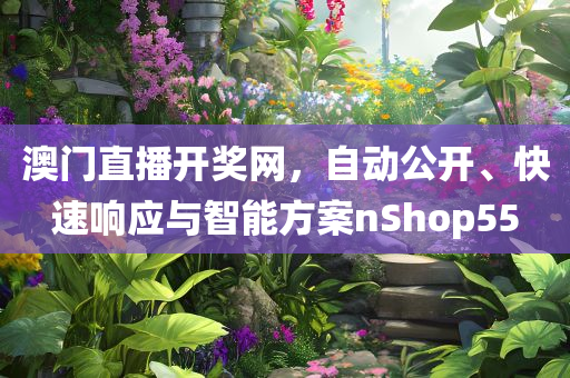 澳门直播开奖网，自动公开、快速响应与智能方案nShop55