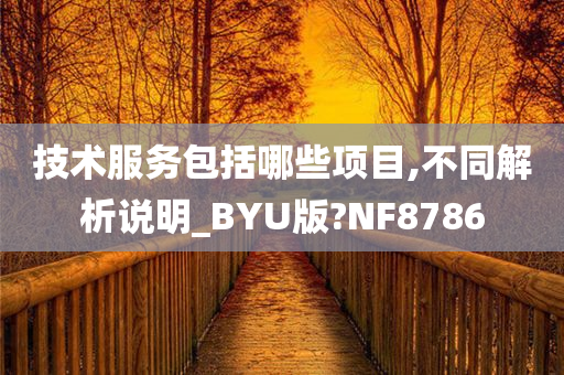 技术服务包括哪些项目,不同解析说明_BYU版?NF8786