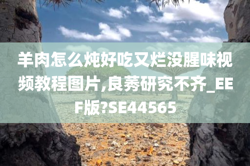 羊肉怎么炖好吃又烂没腥味视频教程图片,良莠研究不齐_EEF版?SE44565