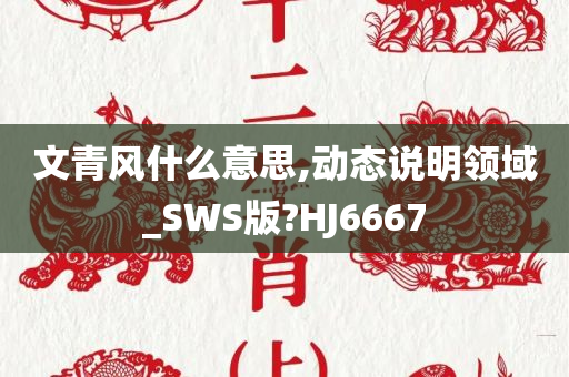 文青风什么意思,动态说明领域_SWS版?HJ6667