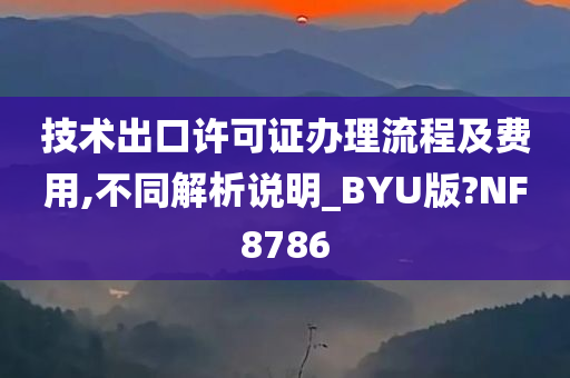 技术出口许可证办理流程及费用,不同解析说明_BYU版?NF8786