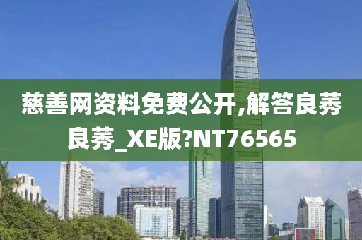 慈善网资料免费公开,解答良莠良莠_XE版?NT76565