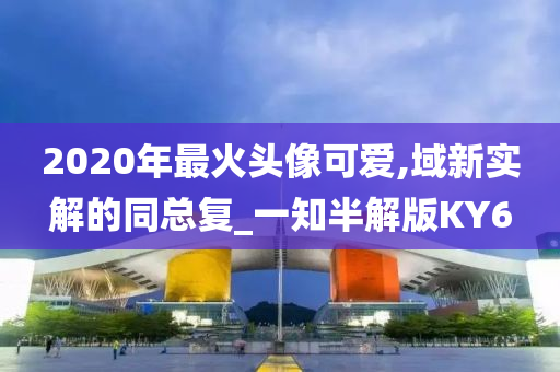 2020年最火头像可爱,域新实解的同总复_一知半解版KY6