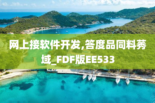 网上接软件开发,答度品同料莠域_FDF版EE533