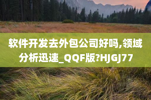 软件开发去外包公司好吗,领域分析迅速_QQF版?HJGJ77