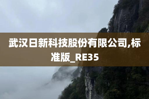 武汉日新科技股份有限公司,标准版_RE35