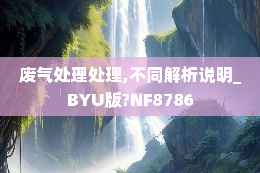 废气处理处理,不同解析说明_BYU版?NF8786