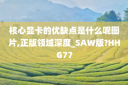 核心显卡的优缺点是什么呢图片,正版领域深度_SAW版?HHG77