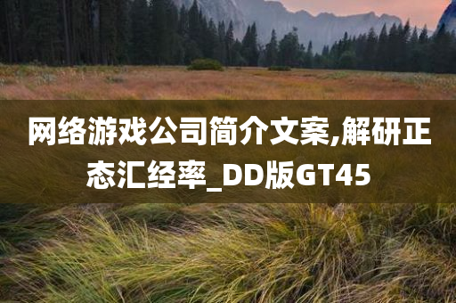 网络游戏公司简介文案,解研正态汇经率_DD版GT45