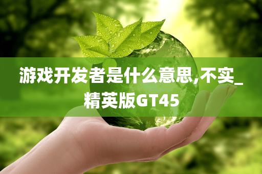 游戏开发者是什么意思,不实_精英版GT45