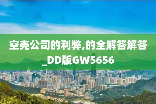 空壳公司的利弊,的全解答解答_DD版GW5656