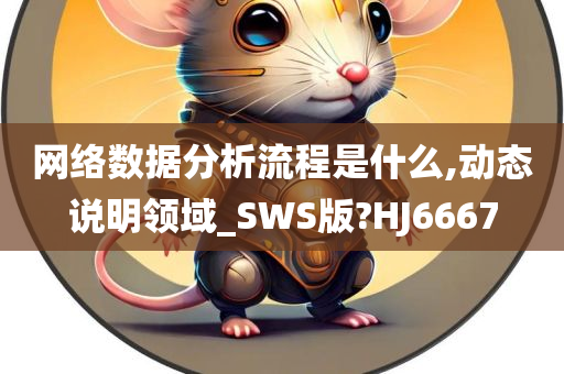 网络数据分析流程是什么,动态说明领域_SWS版?HJ6667