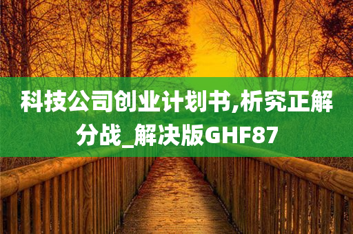 科技公司创业计划书,析究正解分战_解决版GHF87