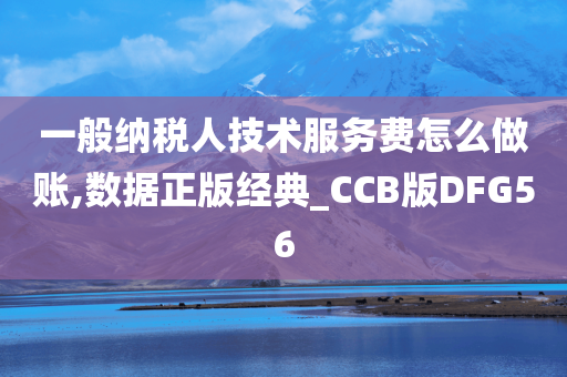 一般纳税人技术服务费怎么做账,数据正版经典_CCB版DFG56