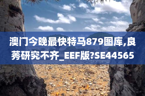 澳门今晚最快特马879图库,良莠研究不齐_EEF版?SE44565