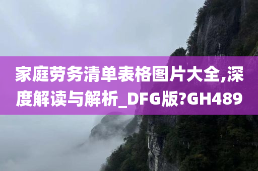 家庭劳务清单表格图片大全,深度解读与解析_DFG版?GH489