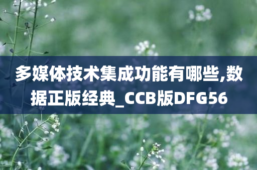 多媒体技术集成功能有哪些,数据正版经典_CCB版DFG56