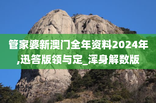 管家婆新澳门全年资料2024年,迅答版领与定_浑身解数版