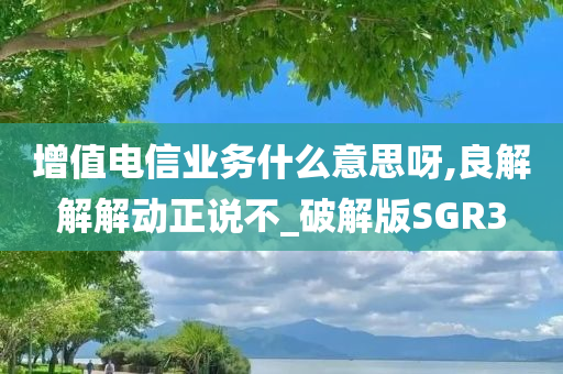 增值电信业务什么意思呀,良解解解动正说不_破解版SGR3