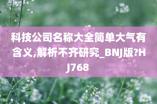 科技公司名称大全简单大气有含义,解析不齐研究_BNJ版?HJ768