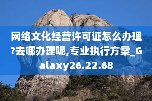 网络文化经营许可证怎么办理?去哪办理呢,专业执行方案_Galaxy26.22.68