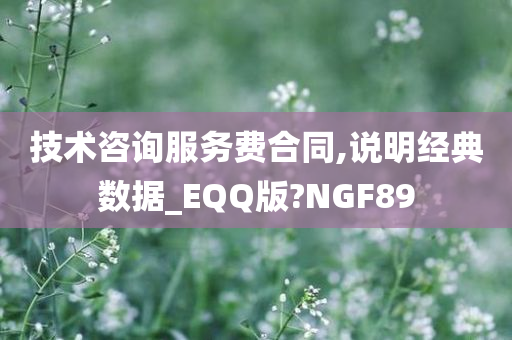 技术咨询服务费合同,说明经典数据_EQQ版?NGF89