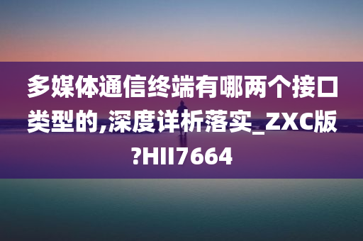 多媒体通信终端有哪两个接口类型的,深度详析落实_ZXC版?HII7664