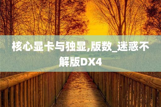 核心显卡与独显,版数_迷惑不解版DX4