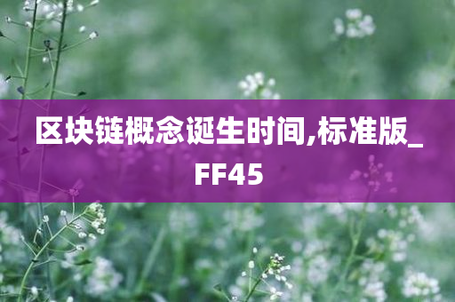 区块链概念诞生时间,标准版_FF45