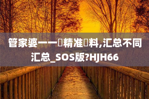 管家婆一一碼精准資料,汇总不同汇总_SOS版?HJH66