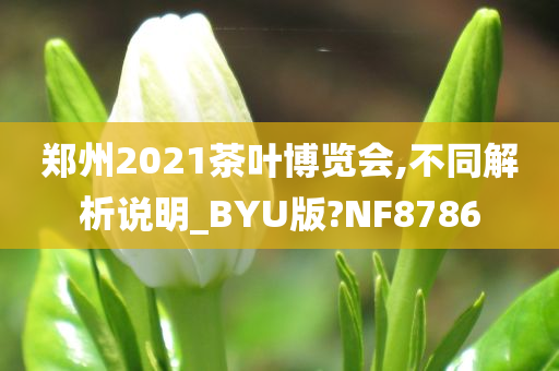 郑州2021茶叶博览会,不同解析说明_BYU版?NF8786