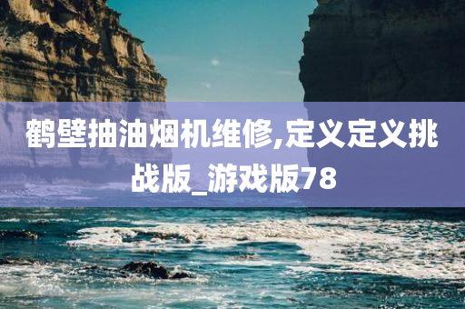 鹤壁抽油烟机维修,定义定义挑战版_游戏版78