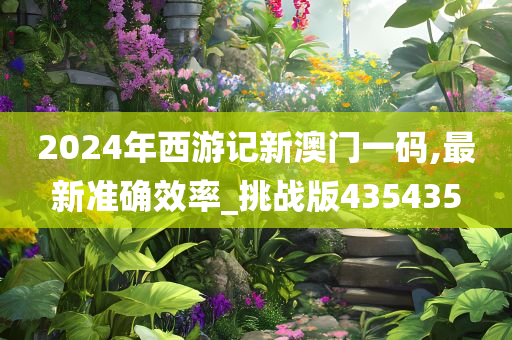 2024年西游记新澳门一码,最新准确效率_挑战版435435