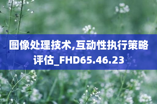 图像处理技术,互动性执行策略评估_FHD65.46.23