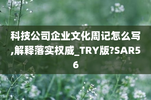 科技公司企业文化周记怎么写,解释落实权威_TRY版?SAR56