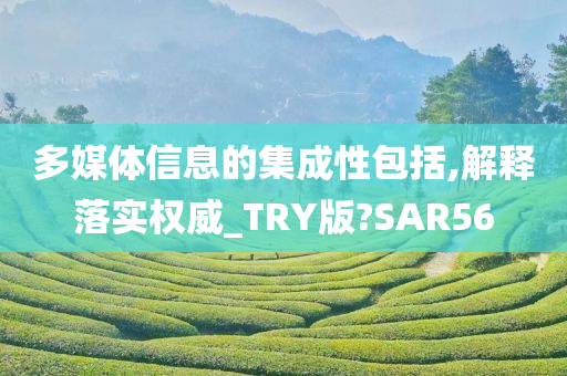 多媒体信息的集成性包括,解释落实权威_TRY版?SAR56