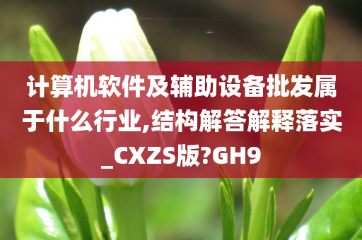 计算机软件及辅助设备批发属于什么行业,结构解答解释落实_CXZS版?GH9