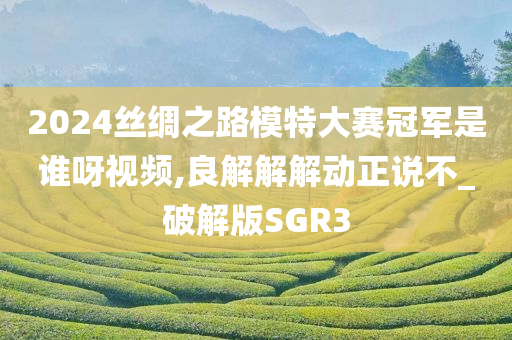 2024丝绸之路模特大赛冠军是谁呀视频,良解解解动正说不_破解版SGR3