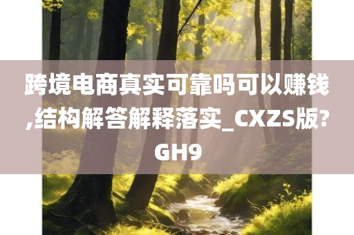 跨境电商真实可靠吗可以赚钱,结构解答解释落实_CXZS版?GH9